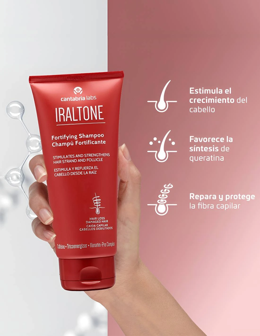IRALTONE CHAMPU FORTIFICANTE 200 ML 2 IRALTONE CHAMPU FORTIFICANTE 200 ML - Imagen 2