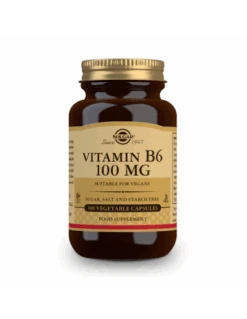 SOLGAR VITAMIN B6 100 MG 100 CAPS